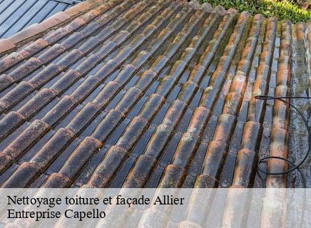 Nettoyage toiture et façade 03 Allier Entreprise Capello