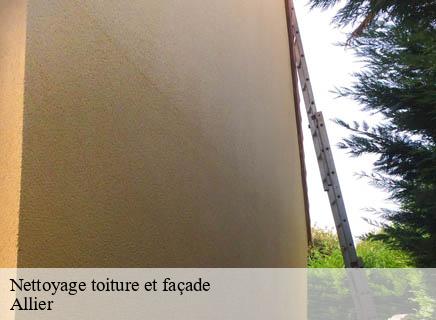 Nettoyage toiture et façade 03 Allier Entreprise Capello