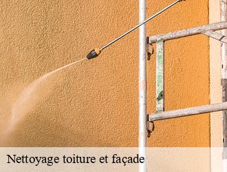 Nettoyage toiture et façade 03 Allier Entreprise Capello