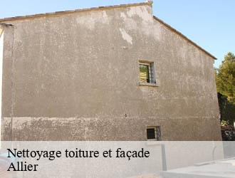 Nettoyage toiture et façade 03 Allier Entreprise Capello