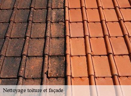 Nettoyage toiture et façade 03 Allier Entreprise Capello